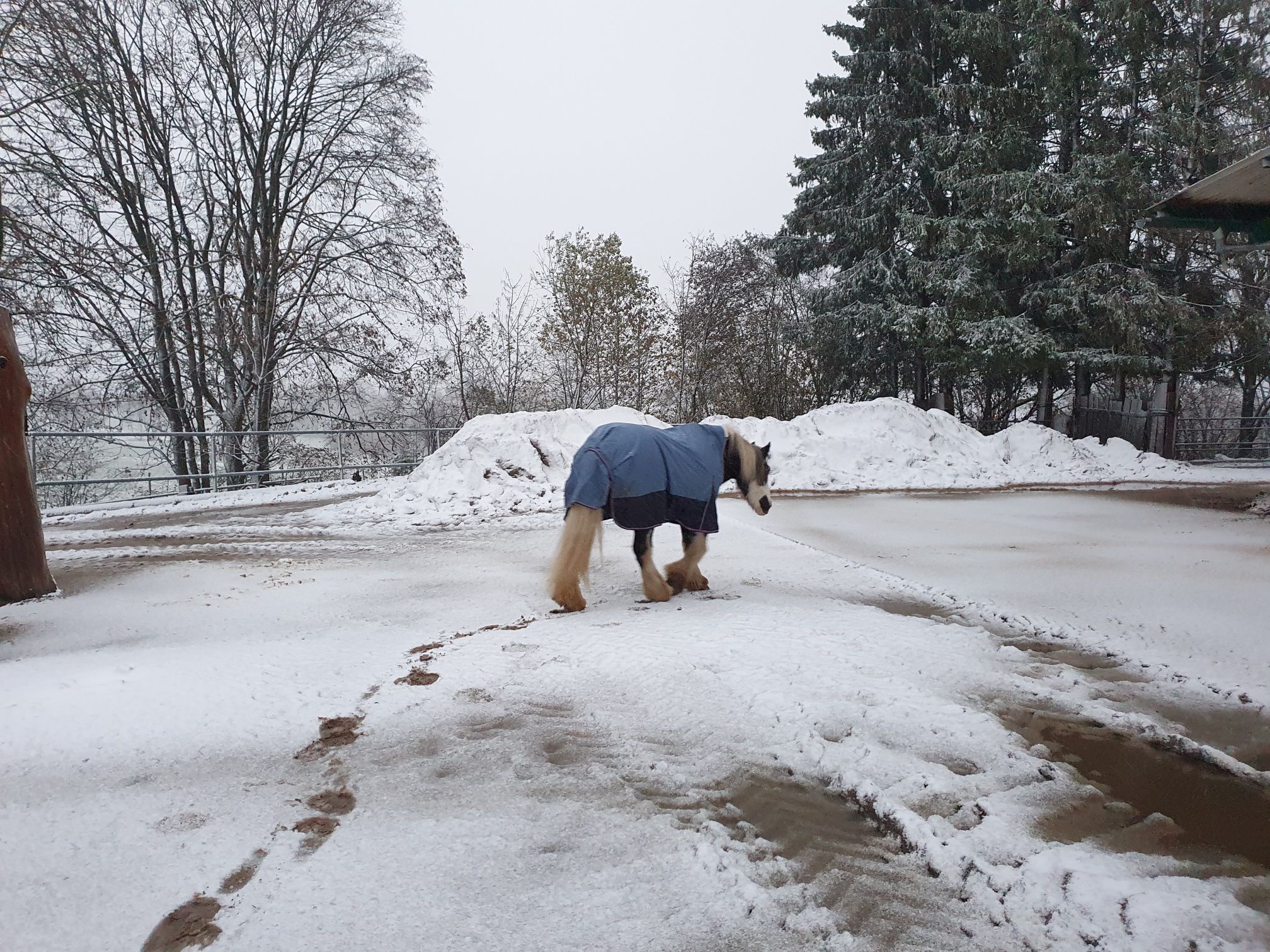 2023 11 November 612